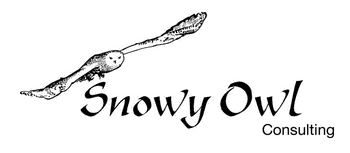 Snowy Owl Logo